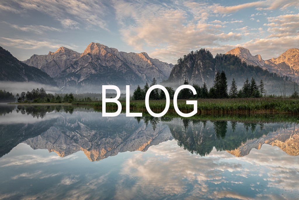 blog_2024