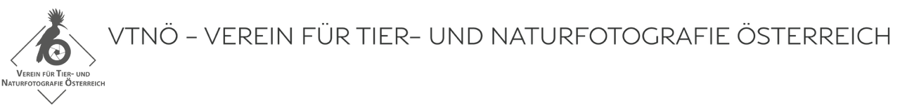 cropped-vntoe2023_header_web-01.png